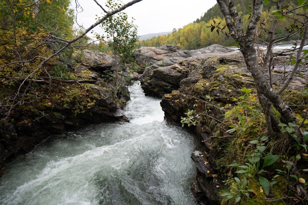 Embracing the Wild: Unconventional Camping Experiences